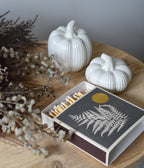 Ceramic Pumpkins