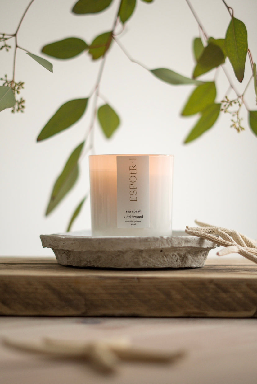 Sea Spray & Driftwood - Signature Gloss Candle